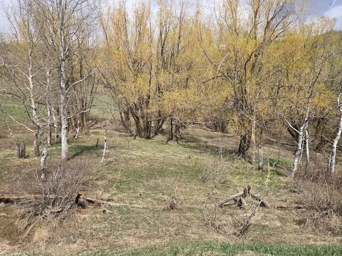 Buckland Flats Campground Picture 1