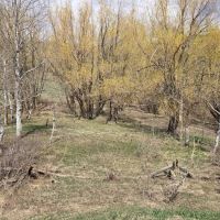 Buckland Flats Campground ico