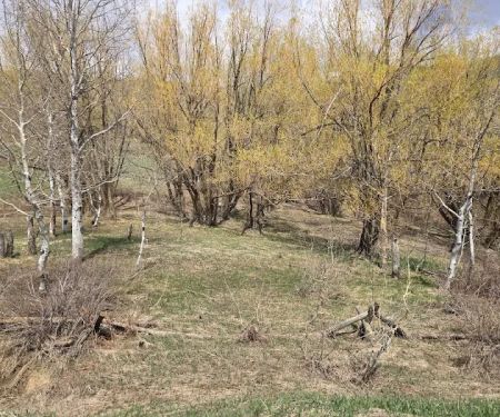 Buckland Flats Campground