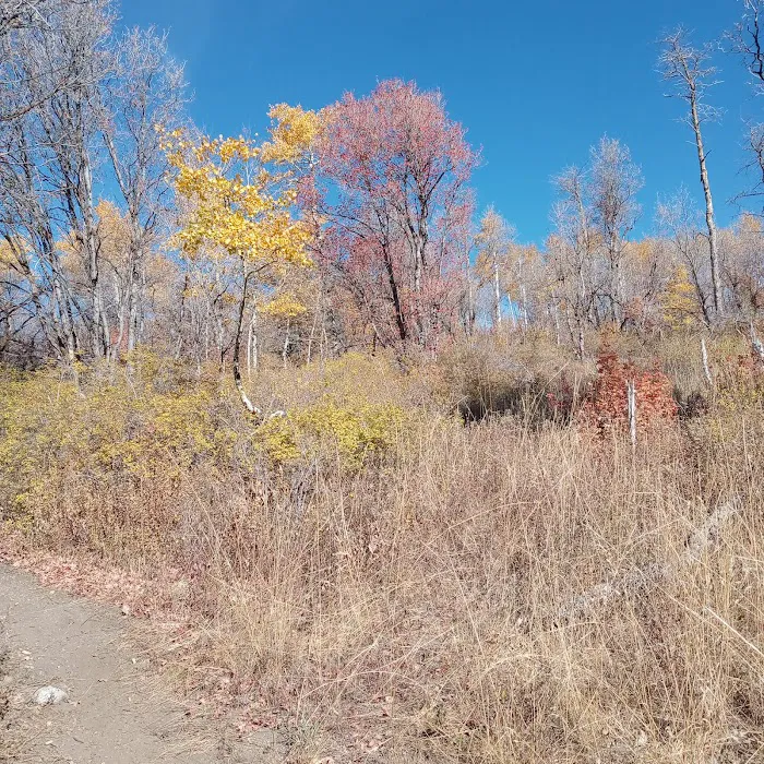 Buckland Flats Campground Picture 8