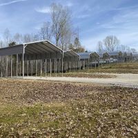 Dale Hollow Paradise, LLC. ico