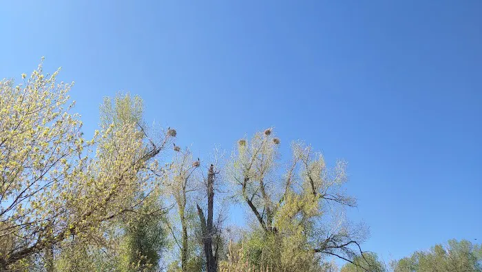 Camp Zarahemla Picture 3