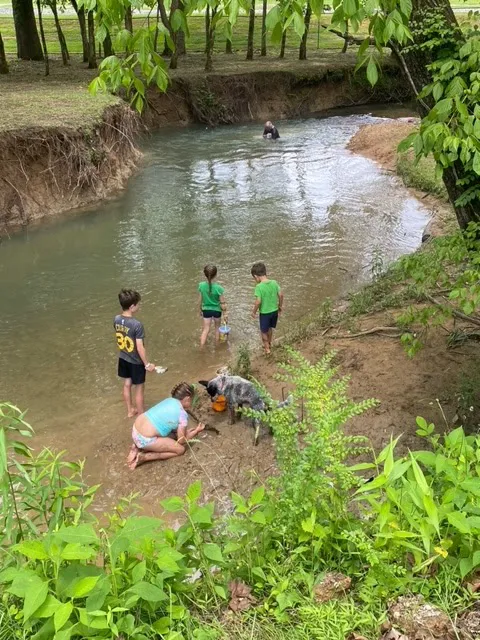 Waterwheel RV Camp Picture 4