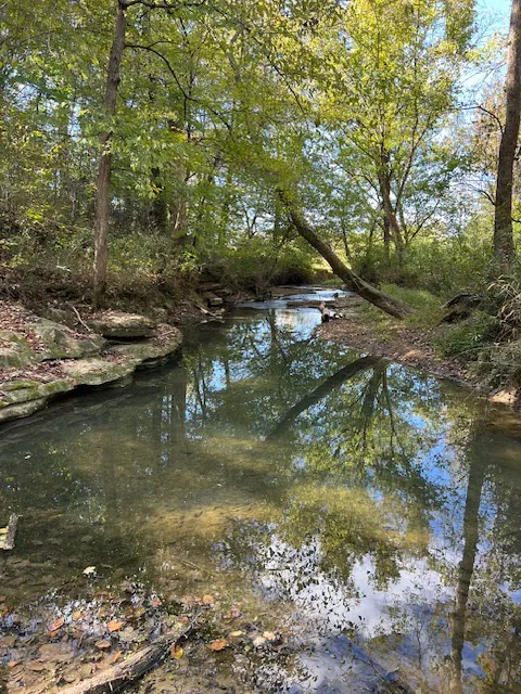 Waterwheel RV Camp Picture 5