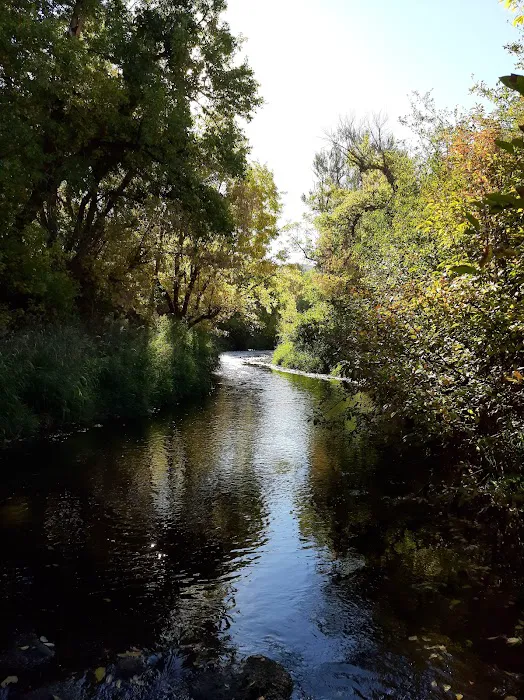 Woodland Recreation Camp Picture 6