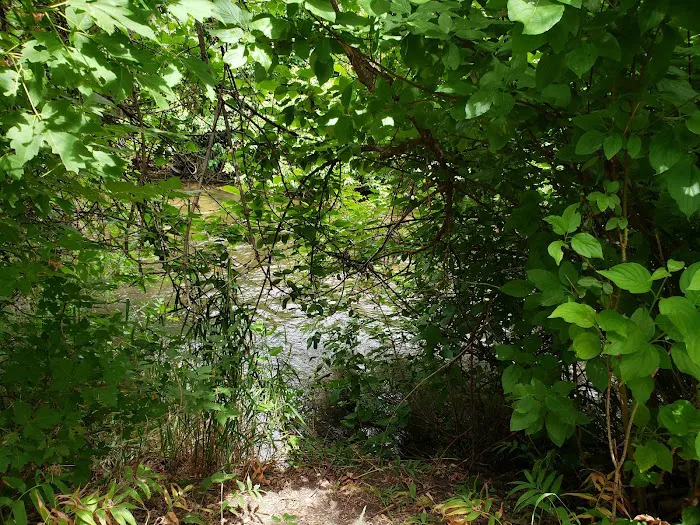 Woodland Recreation Camp Picture 5