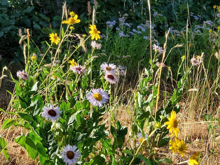 Rudy's Flat Picture 7