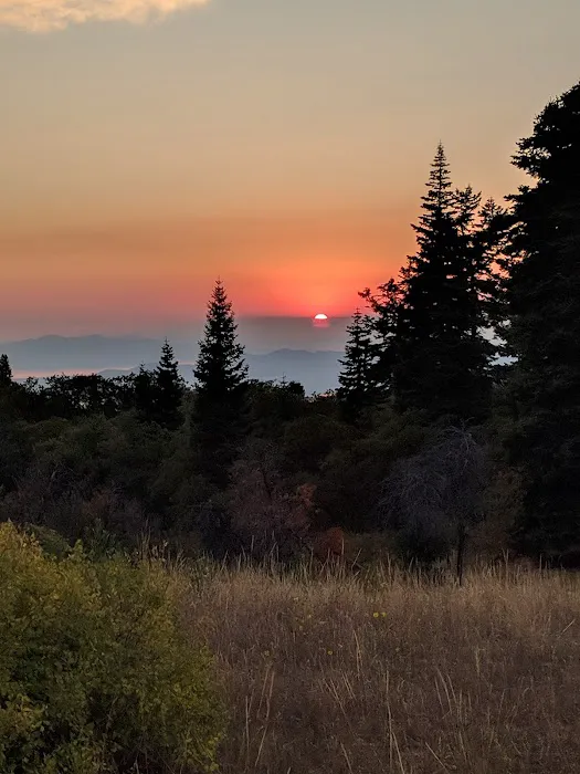 Rudy's Flat Picture 2