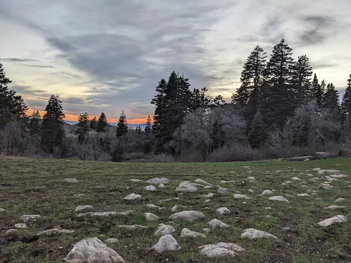 Rudy's Flat Picture 3