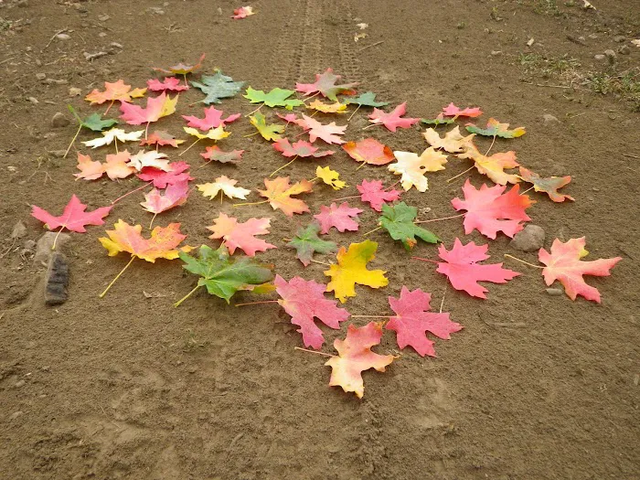 Rudy's Flat Picture 4