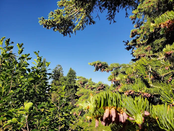 Rudy's Flat Picture 9