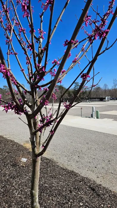 LAKESIDE OASIS RV PARK Picture 6