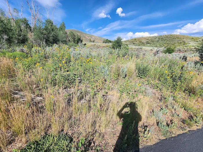 Big Rock Campground Picture 9