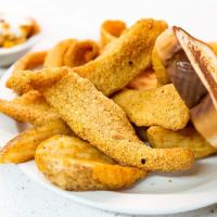 Twin Lakes Catfish Farm Campground ico