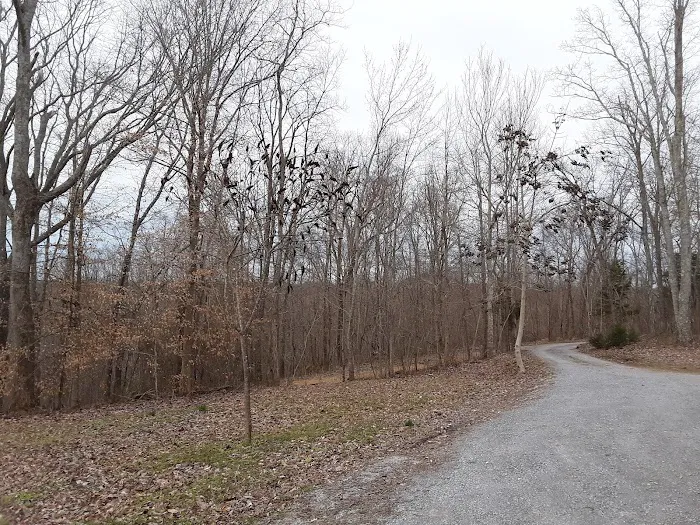 Kings Court Trailer Park Picture 5