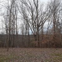 Kings Court Trailer Park ico