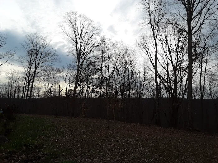 Kings Court Trailer Park Picture 3