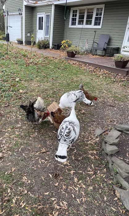 Twin Towers Trailer Park Picture 5