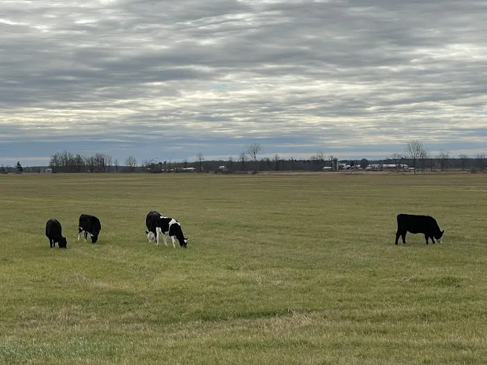 Twin Towers Trailer Park Picture 2