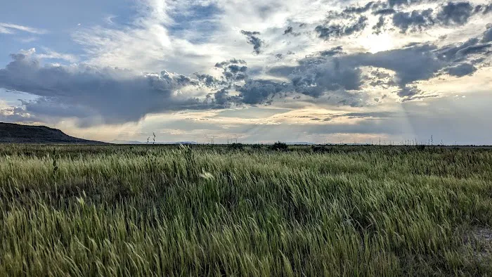 Bridger Bay Campground Picture 1