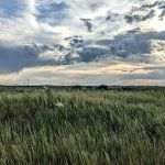 Bridger Bay Campground