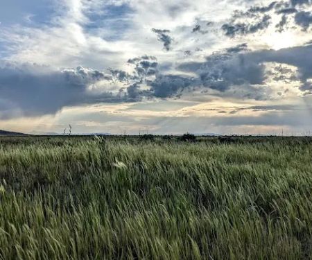 Bridger Bay Campground