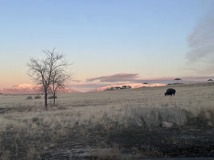 Bridger Bay Campground Picture 10
