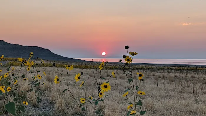 Bridger Bay Campground Picture 3