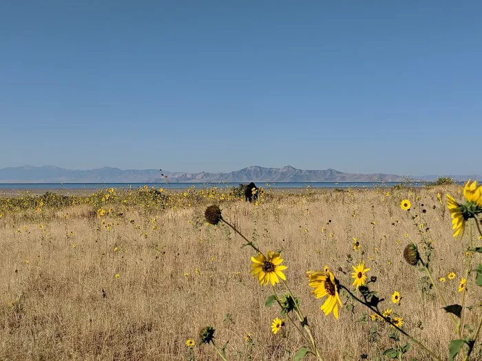 White Rock Bay Campground Picture 5