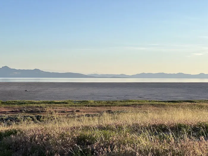 White Rock Bay Campground Picture 9