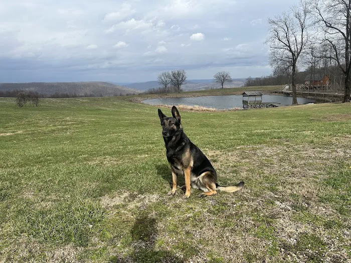 Grand View Cabins and RV Park Picture 6