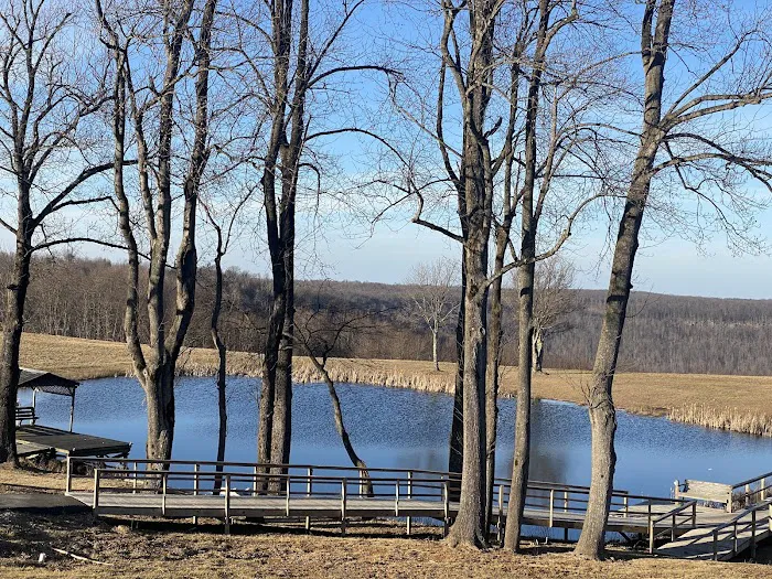 Grand View Cabins and RV Park Picture 9