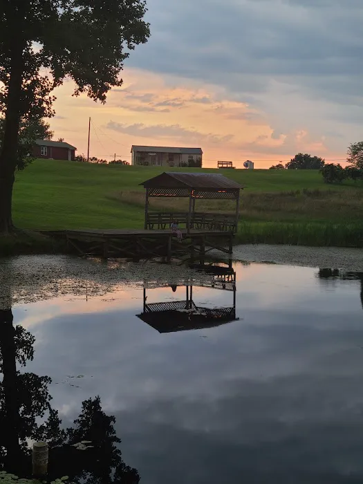 Grand View Cabins and RV Park Picture 2