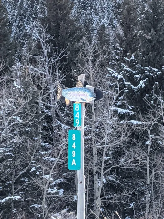 Fisher Cabin - Montana Cabin Rentals Picture 5