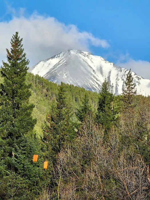 Fisher Cabin - Montana Cabin Rentals Picture 6