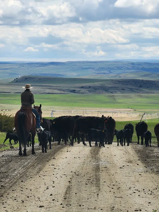 Fisher Cabin - Montana Cabin Rentals Picture 7