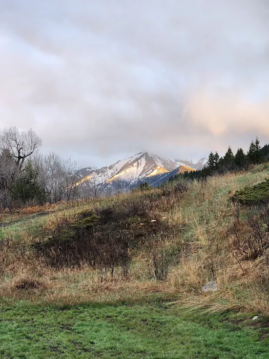 Fisher Cabin - Montana Cabin Rentals Picture 8
