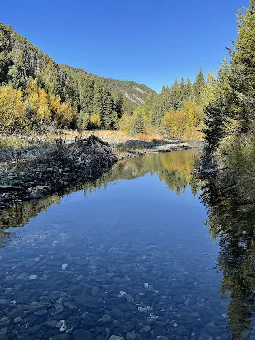 Grizzly Cabin - Montana Cabin Rentals Picture 5