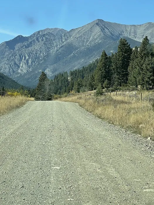 Grizzly Cabin - Montana Cabin Rentals Picture 2