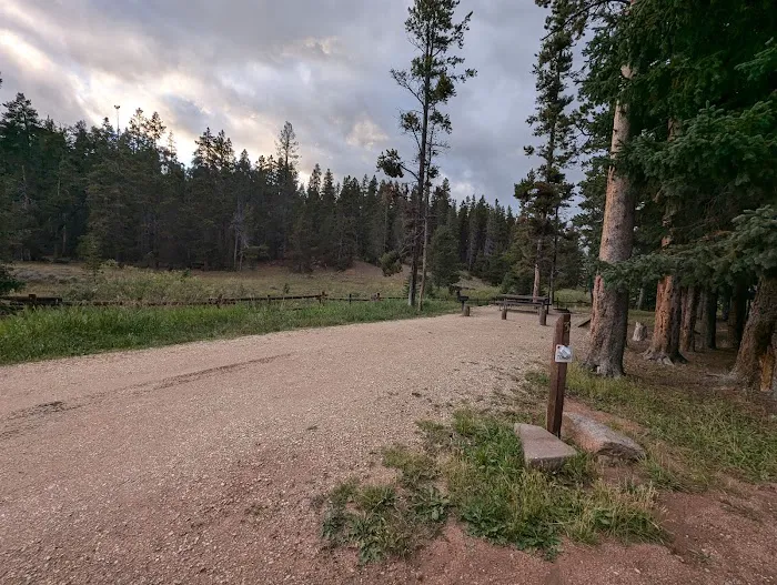 North Tongue Campground Picture 4