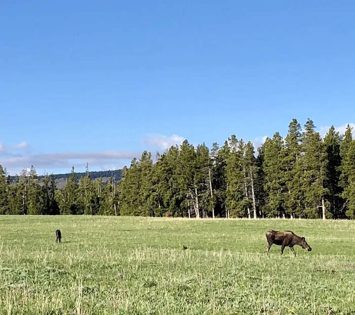 North Tongue Campground Picture 5