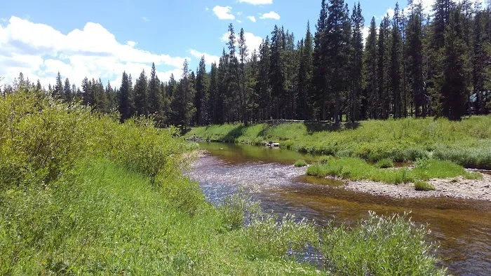 Pine Island Group Campground Picture 2