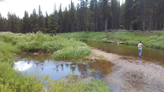 Pine Island Group Campground Picture 3