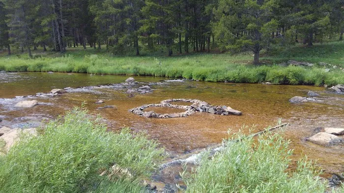 Pine Island Group Campground Picture 5