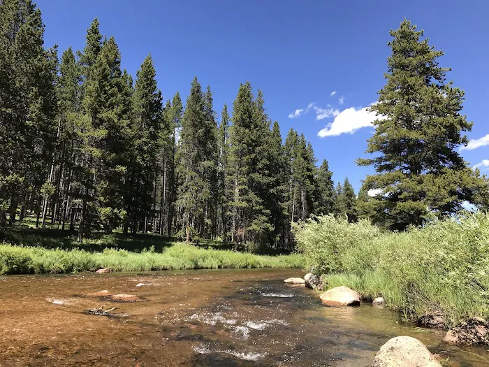 Pine Island Group Campground Picture 7