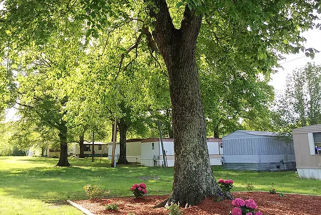 Forest Ridge Picture 7