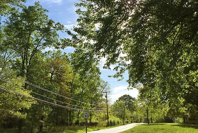 Forest Ridge Picture 8