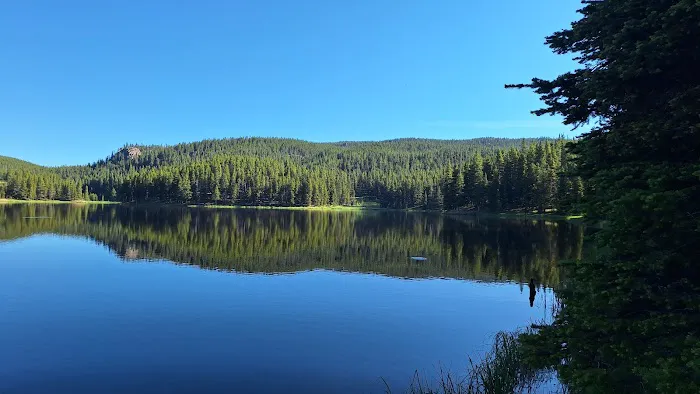 Prune Creek Picture 1