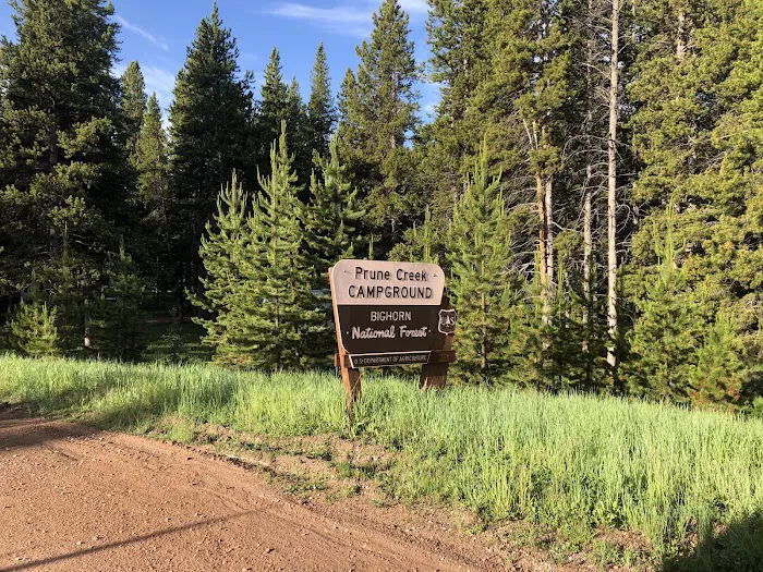 Prune Creek Picture 9