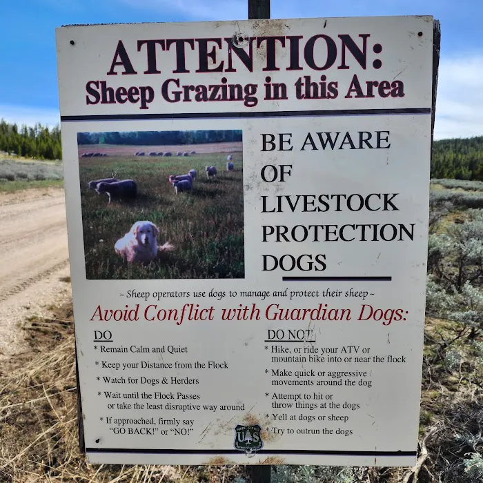 Owen Creek Campground Picture 5